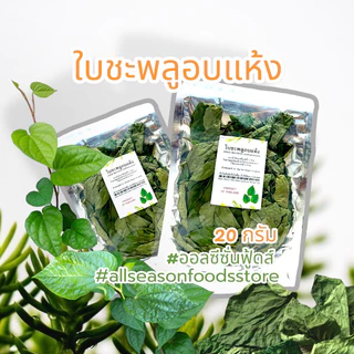 ใบชะพลูอบแห้ง 20กรัม - ออลซีซั่นฟู้ดส์ Allseasonfoods