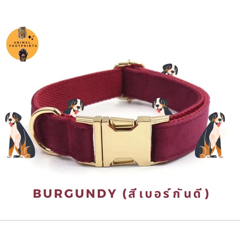 ปลอกคอสุนัขกำมะหยี่ (Luxury velvet dog collar) Size XS