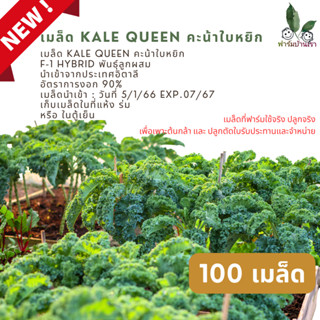 เมล็ดพันธุ์ เมล็ดเคล เคลใบหยิก 100 เมล็ด นำเข้า Kale QuEEN คะน้าใบหยิก F-1 HYBRID พันธุ์ลูกผสมนำเข้าจากประเทศอิตาลี