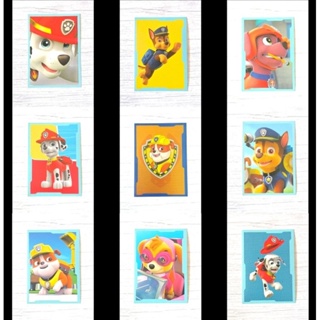 สติ๊กเกอร์การ์ตูน PAW PATROL STICKERS COLLECTOR