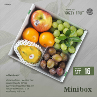 Premium fruit Mini box set 16