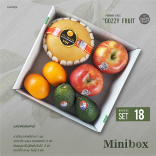 Premium fruit Mini box set 18