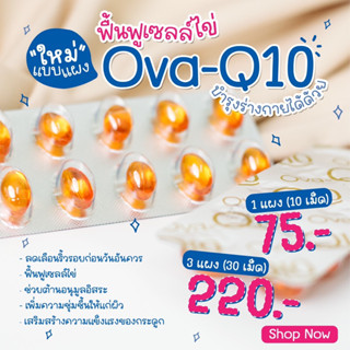 พร้อมส่ง 💊 Ova Q10 แบบแผง/บำรุงผิวพรรณ บำรุงหลอดเลือด บำรุงไข่ ช่วยให้ไข่ตกสม่ำเสมอ