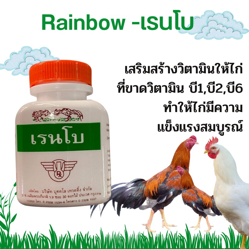 Rainbow-เรนโบ 1 ขวด มี 100 เม็ด วิตามินไก่ตราเรนโบ