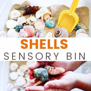 Seashells sensory play เปลือกหอย DIYคละแบบ ปริมาณ100กรัม (พร้อมส่ง)