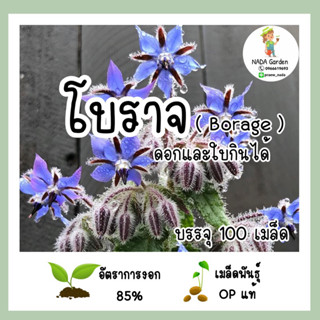 เมล็ดพันธุ์ โบราจ (ดอกและใบทานได้) Borage บรรจุ 100 เมล็ด สายพันธุ์ OPแท้ นำเข้าจากต่างประเทศ