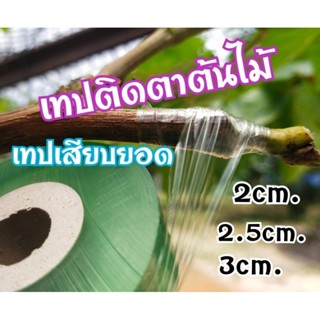 เทปติดตาต้นไม้ เทปเสียบยอด เทปพันกิ่ง ขนาด2cm-2.5cm-3cm ยาว100m.