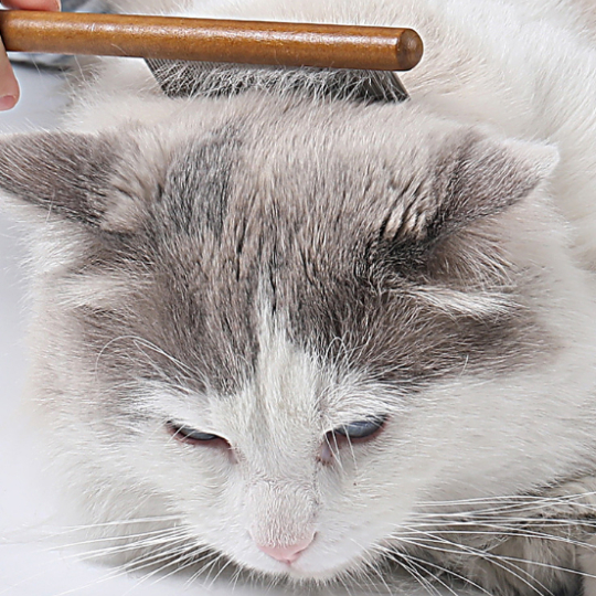 (ซี่หวี 2 ระดับ / ลดขนพัน ขนเรียงตัวสวย) หวีขนกระต่าย หวีแปรงขนแมว หวีสุนัข แปรงหมา เปอร์เซีย