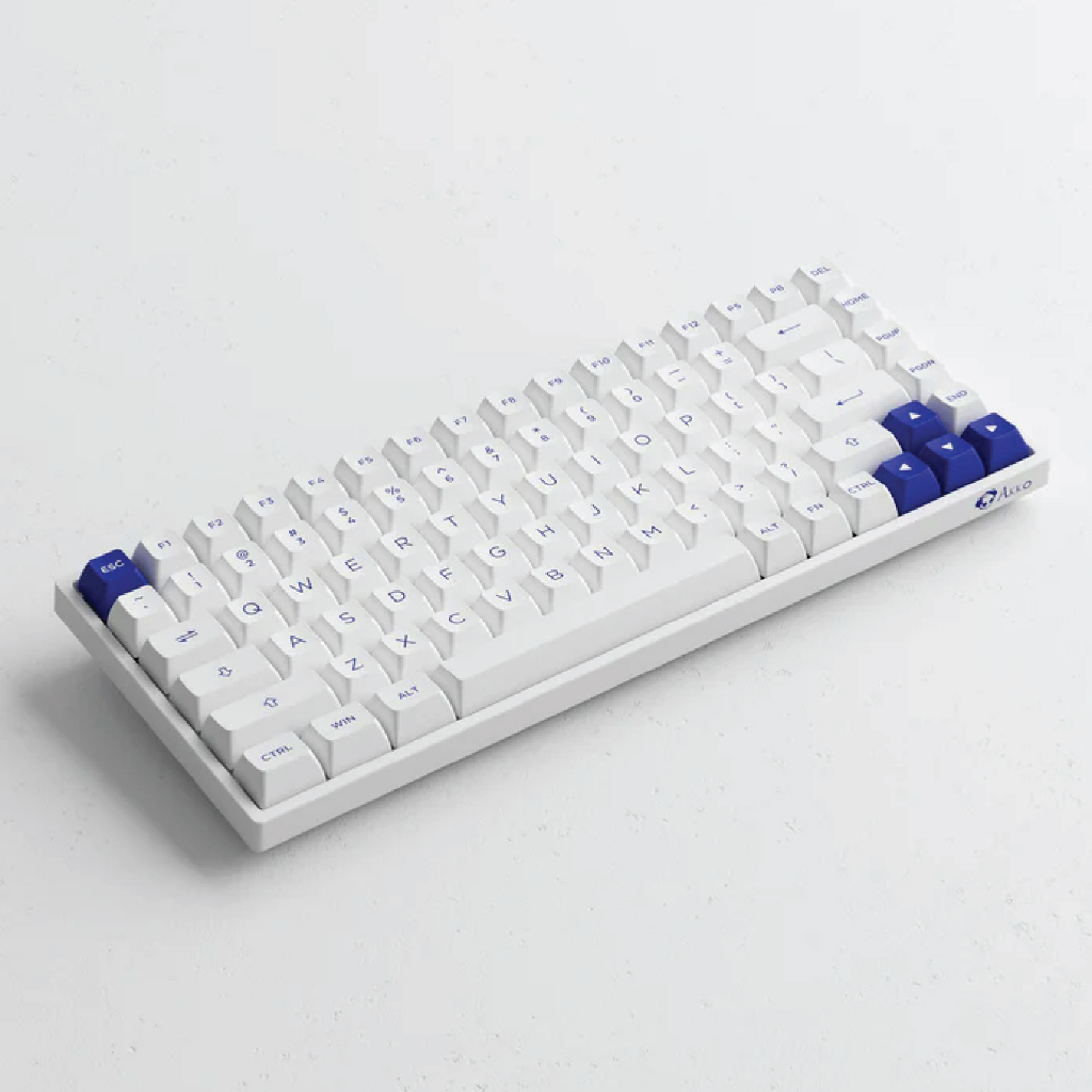 คีย์บอร์ด AKKO 3084B Plus Blue on White RGB Hotswap 2.4GHz Bluetooth Wireless 75% Mechanical Keyboard