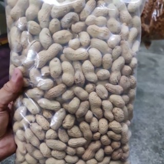 ถั่วลิสงอบ ขนาด 1 kg สำหรับนกแก้วทุกชนิด เม็ดใหญ่ สะอาด