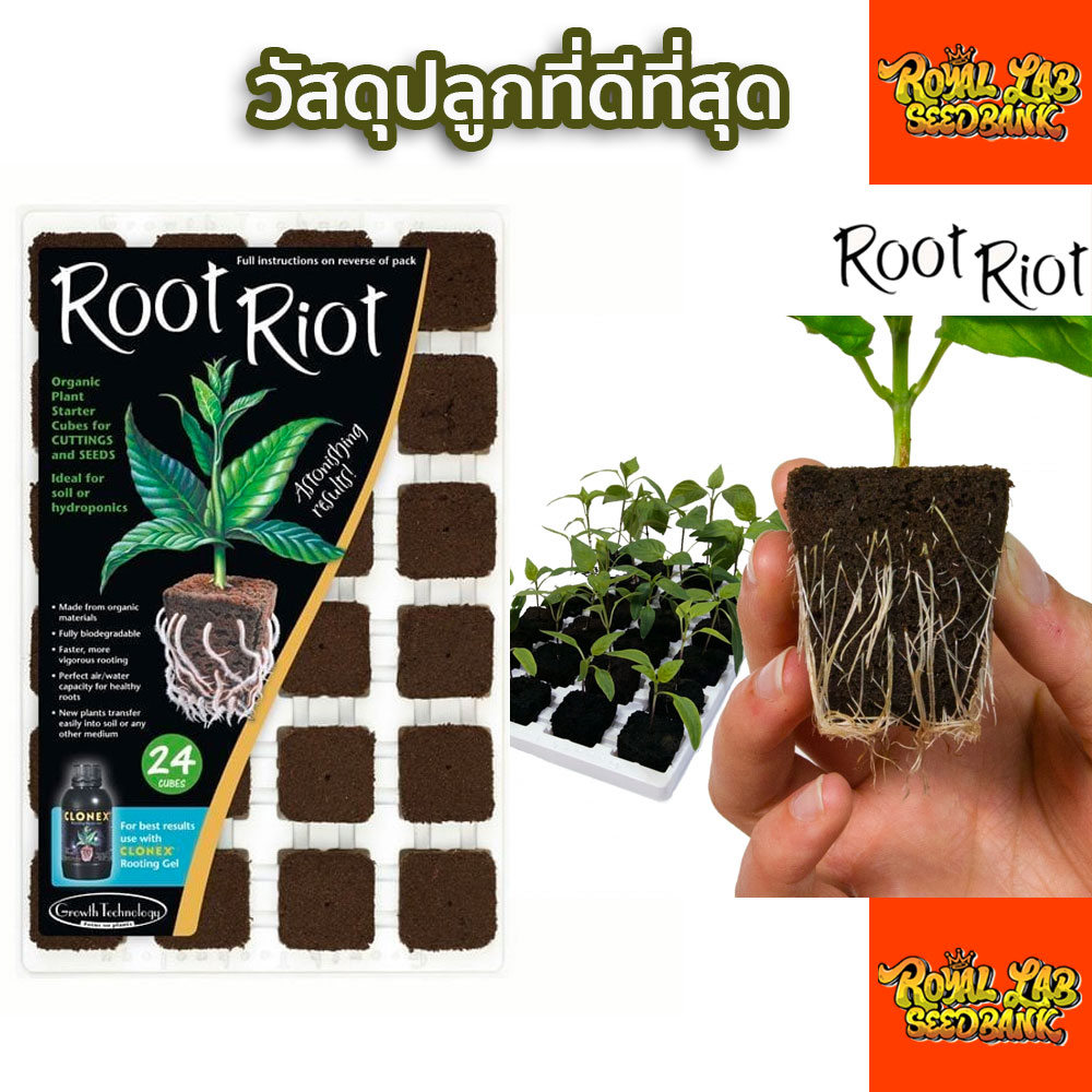 วัสดุปลูก Root Riot Planter Cubes for Germination 1 Cube แบ่งขายเป็นก้อน(วัสดุปลูกสำหรับปักชำ เพาะเม