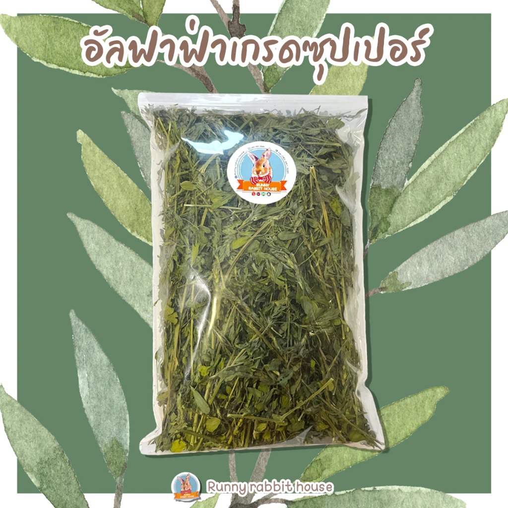 ในไลฟ์ลด40%อัลฟาฟ่าอบแห้ง อัลฟาฟ่าก้านใบ อัลฟาฟ่าคัดใบล้วน เกรดซุปเปอร์พรีเมี่ยม ใหม่ เขียว หอม