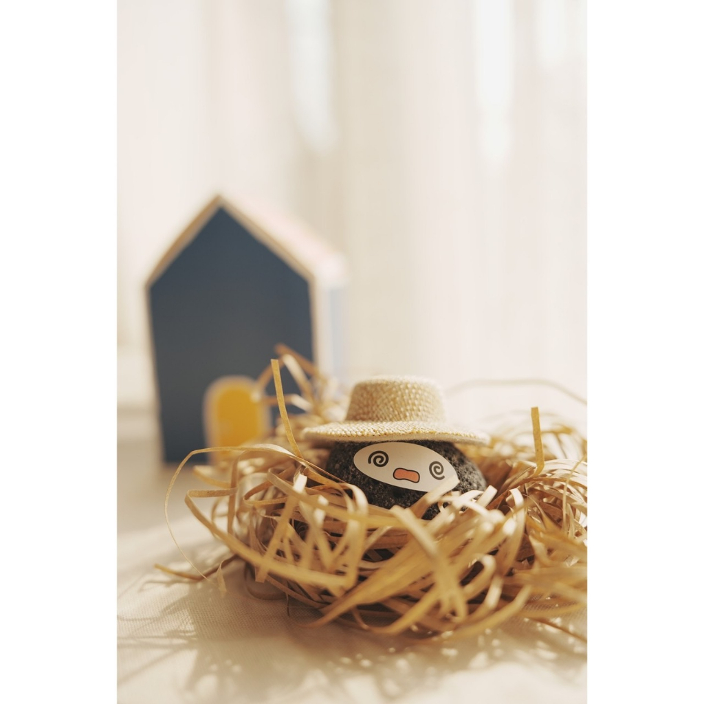 [Buddy Rocky] หินเพื่อนรัก #หินสัตว์เลี้ยง ,Pet Rock, Pet Stone, #SevenTeen #JEONGHAN #정한 #세븐틴 #세븐틴(