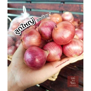 หอมแขก (คัดพิเศษ)เนื้อสวยเต็มลูก ❌️ไม่ปนเน่า❌️