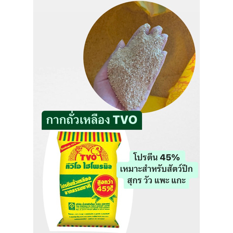 กากถั่วเหลืองTVO ถั่วเหลืองTVO เกรดA โปรตีน45% แบ่งบรรจุ1กก. **แบ่งบรรจุราคาโรงงาน