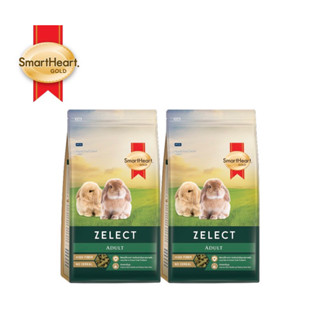 smarthart gold zelect adult กระต่ายโต 1.5kg