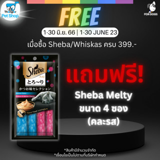 (ของแถม) Sheba Melty