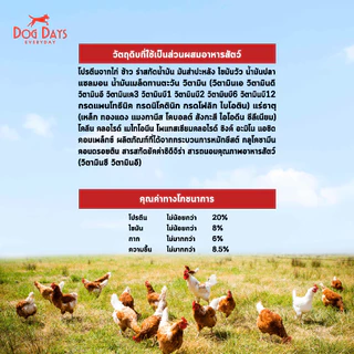 Dog Days อาหารสุนัขรสไก่ (ุ6 kg) Delish เกรด Holistic สูตรสำหรับสุนัขทานยากโดนเฉพาะ