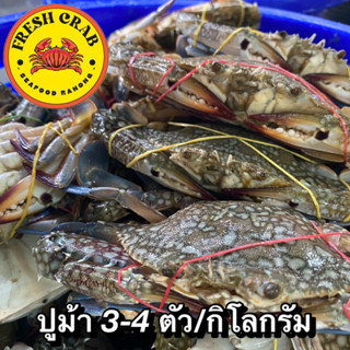 ปูม้าสดๆเนื้อเเน่นส่งตรงจากจังหวัดระนอง 3-4ตัว/กิโลกรัม