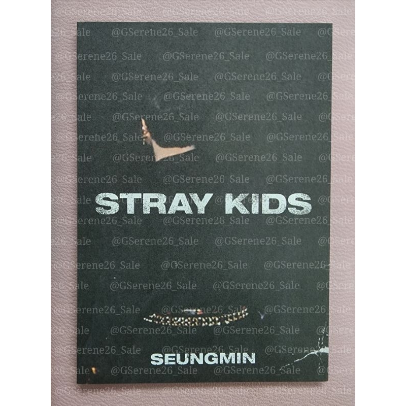 SEUNGMIN STRAYKIDS IN LIFE PHOTOCARD