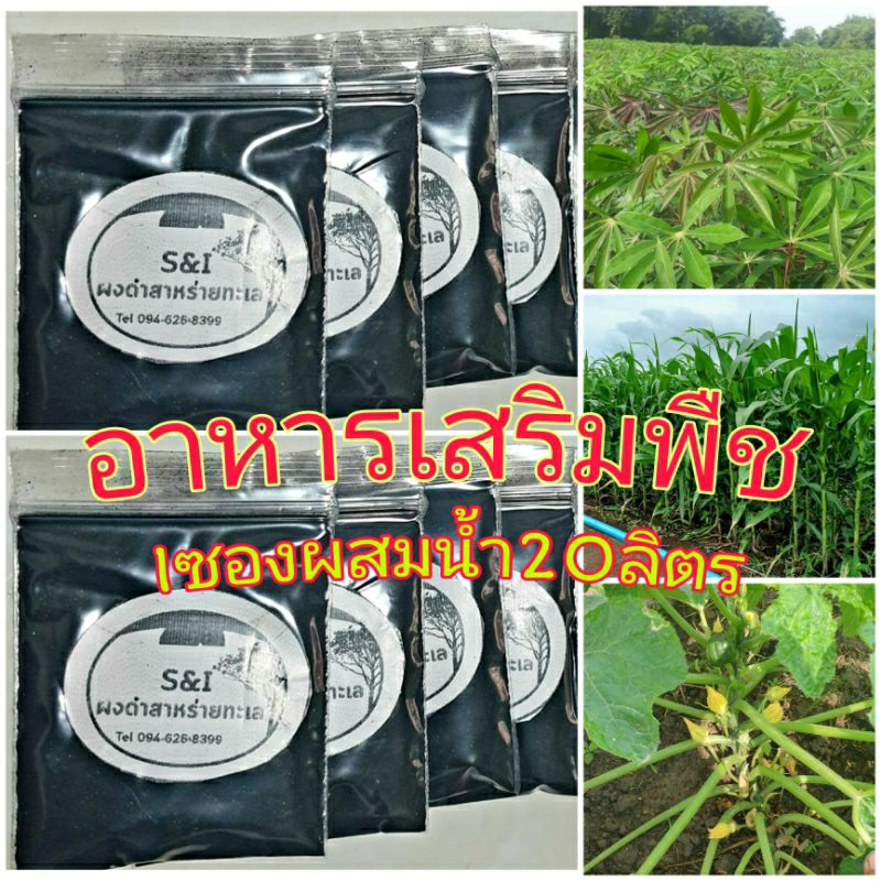 ผงดำ S&i สาหร่ายทะเลสำหรับพืชทุกชนิด