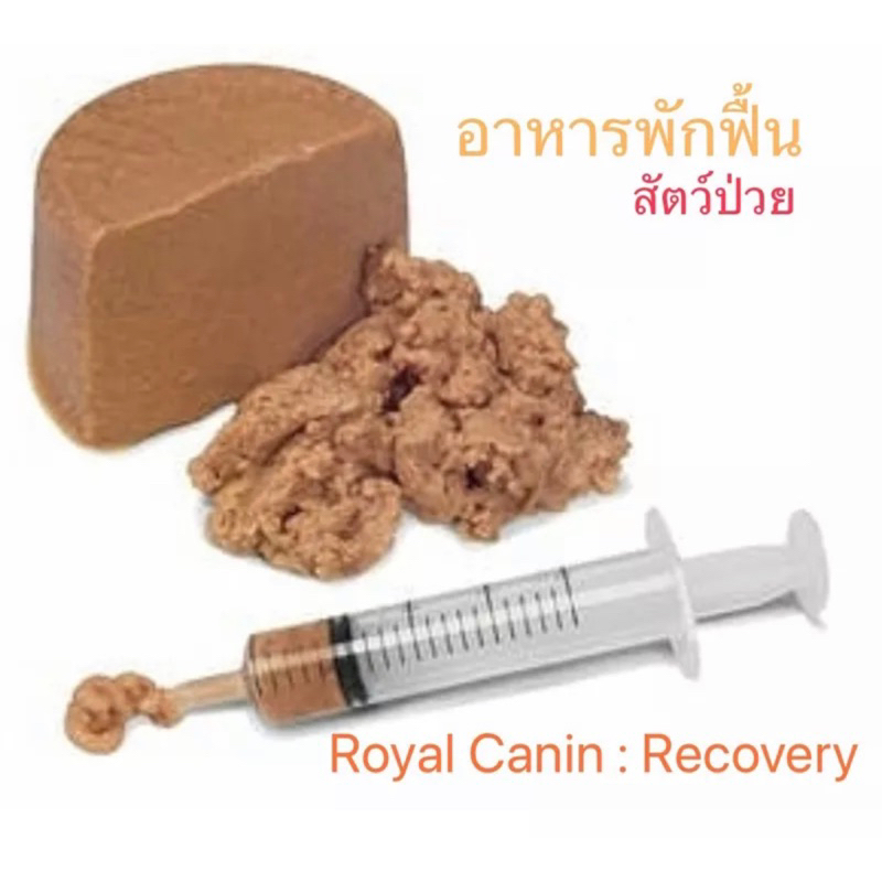 *แพ็ค1-5กระป๋อง* Royal Canin Recovery อาหารสัตว์ป่วย พักฟื้น บำรุงสุขภาพ - รูปที่ 2