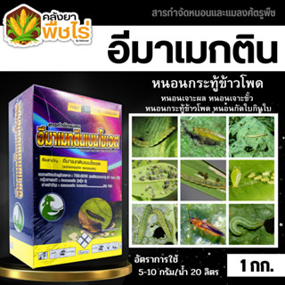 🌽 อีมาเมกตินเบนโซเอต ไก่เกษตร (อีมาเมกติน) 1กิโลกรัม กำจัดหนอนกระทู้ หนอนเจาะ หนอนกัดใบกินใบทุกชนิด