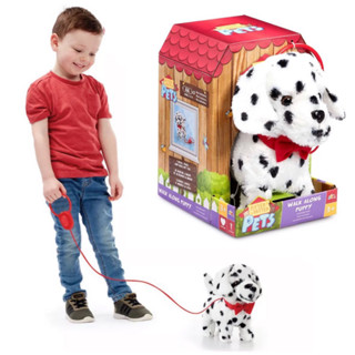 Pitter Patter Pets walk along Dalmatian