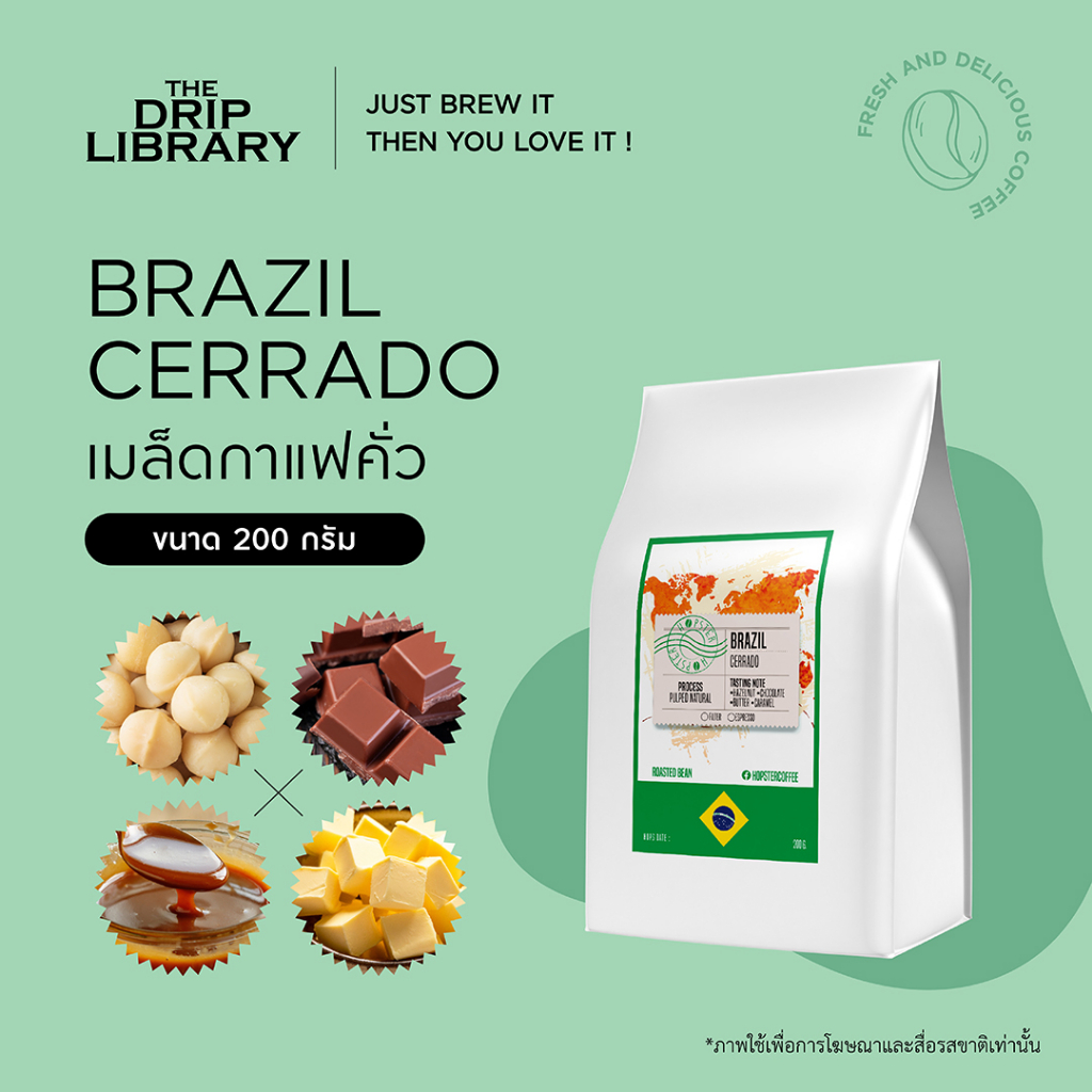 เมล็ดกาแฟคั่ว Brazil Cerrado : Hopster Series | The Drip Library (Arabica Coffee 100%)