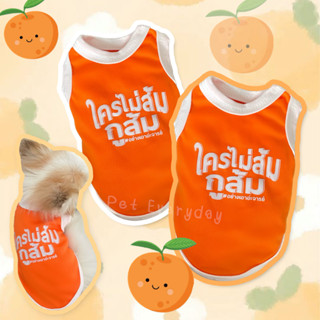 🍊เสื้อทีมส้ม🧡เสื้อกล้ามสัตว์เลี้ยง ชุดแมว เสื้อสุนัข ด้อมส้ม