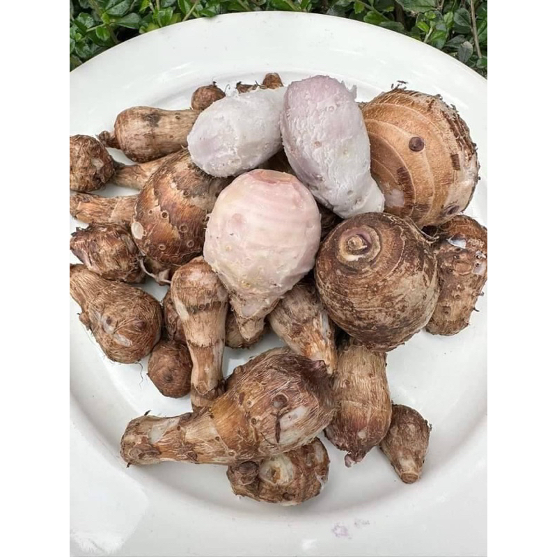 ลูกเผือก1ชุด 5 กิโลกรัม 445บาท