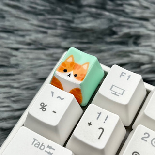 OEM keycap แมวส้มขาว