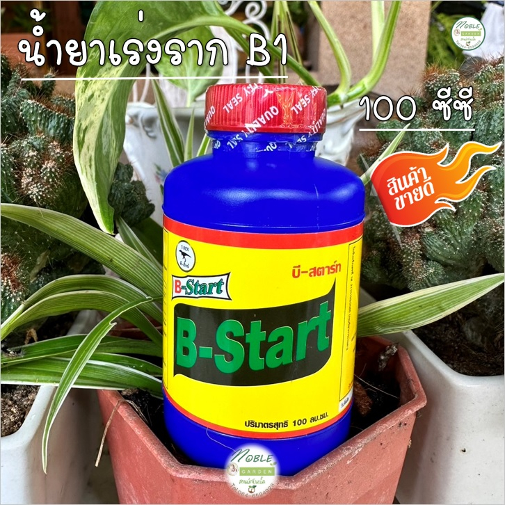 B1 บีวัน น้ำยาเร่งราก ขนาด 100 ซีซี ตรา ที - เร็กซ์ (T-REX) เหมาะสำหรับ แช่เมล็ด กิ่งตอน ปักชำ เร่งราก บำรุงราก บอนสี