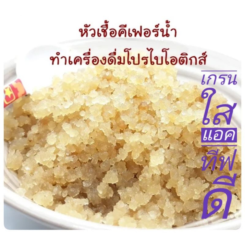 หัวเชื้อคีเฟอร์น้ำ Water Kefir Grain 50g. เกรนใส สมบูรณ์ แอคทีฟดี