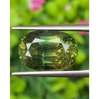 พลอย เขียวส่อง (Green Sapphire) 11.84 กะรัต (Cts.) พลอยแท้ อัญมณีมงคลประจําวันเกิด เครื่องประดับพลอย