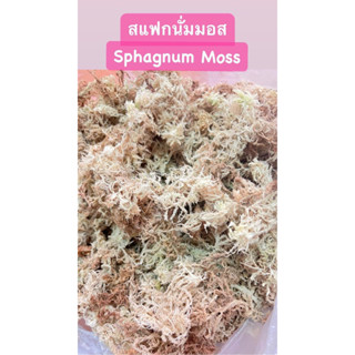 สแฟกนั่มมอส dried(เกรดA 500g)สะอาดเส้นไยยาวสวย เพราะปลูก เลี้ยงสัตว์เช่น กบ หอย เต่า แมงมุมและอีกมากมาย