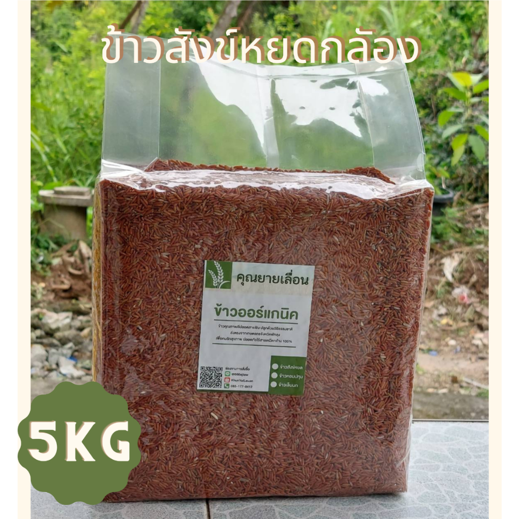 🌾ข้าวสังข์หยด กล้อง-ขัดลาย (ขนาด 5 กิโล) 🔥ข้าวใหม่ สีข้าวทุกวันตามคำสั่งซื้อ 🔥ปลอดสาร จากเกษตรกรบ้านนาหน้าวัง พัทลุง