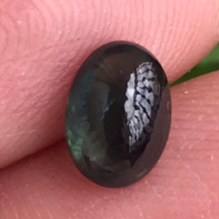 1.62ct พลอยเขียวส่องบางกะจะ ประเทศไทย 7.7x5.7mm Oval Cabochon Green Sapphire Thailand