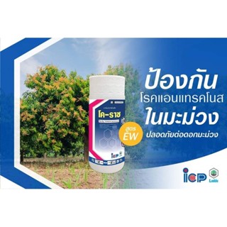 โคราซ สารโพคลอราซ ครีม  1ลิตร Prochloraz45%