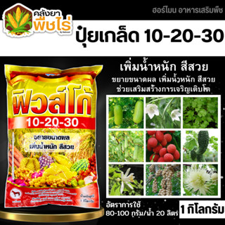 🌽 10-20-30 (ปุ๋ยเกล็ดฟิวส์โก้) 1กิโลกรัม ขยายขนาดผล เพิ่มน้ำหนัก สีสวย