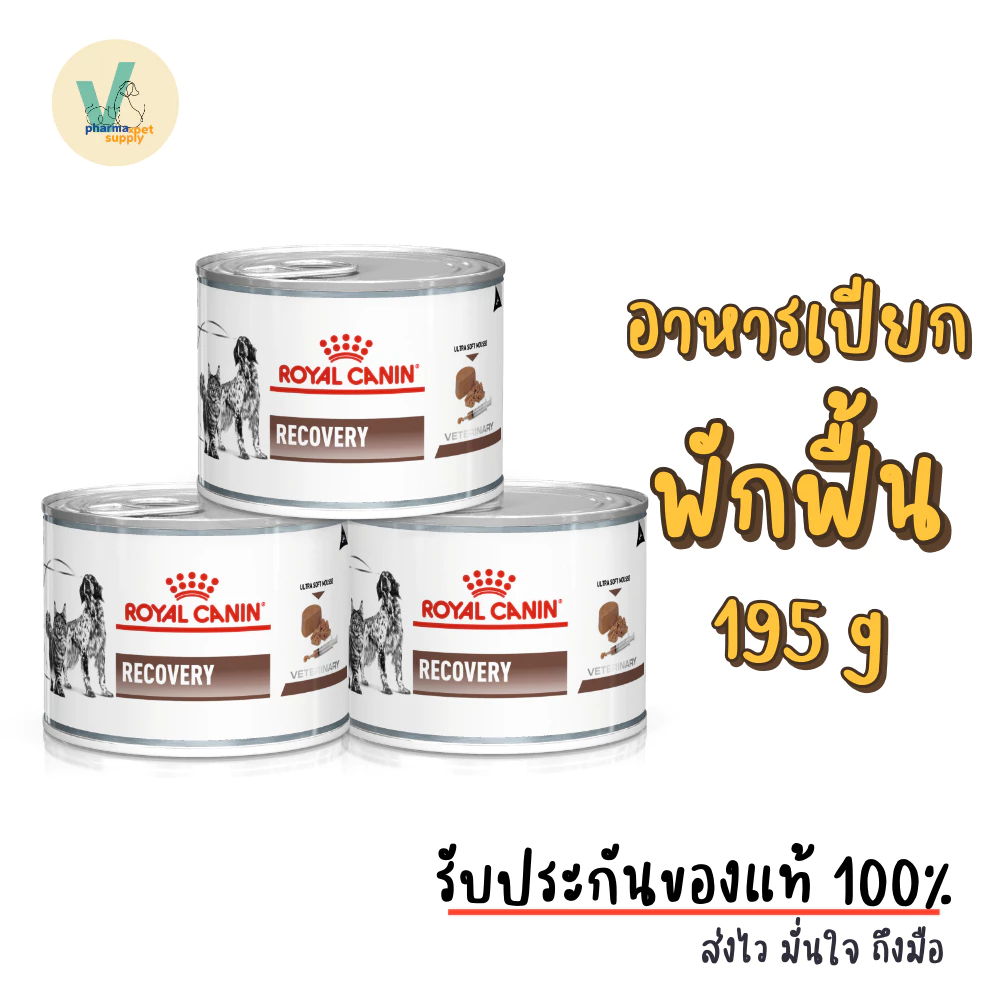 (พร้อมส่ง) 6 กระป๋อง Royal Canin Dog/Cat : Recovery 195 g อาหารเปียกหมาและแมวพักฟื้น เบื่อหรือขาดสารอาหาร