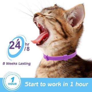 ปลอกคอไล่แมลงสุนัข Flea Tick Cat Collar ปรับได้ 62 ซม. 38 ซม. ปลอกคอสัตว์เลี้ยง