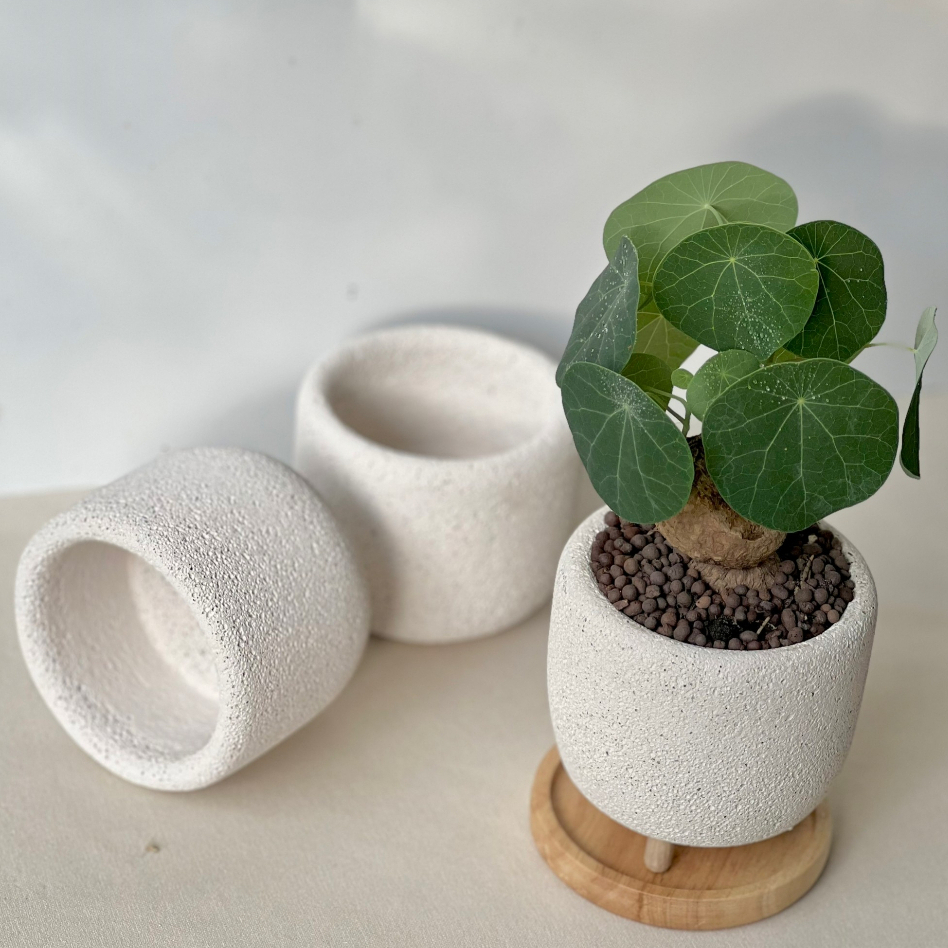 กระถางอิฐมวลเบาทรงถ้วย //ไม่มีจานรอง// ขนาด  9.00*9.00*8.00cm กพร้อมส่ง กระถางแฮนเมด กระถางต้นไม้รักษ์โลก