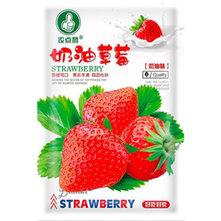 เมล็ด สตรอเบอร์รี่ กลิ่นนมสด สีแดง ( Red Beni-hoppe Strawberry Seed ) จำนวน 100 เมล็ด ผลไม้เพื่อสุขภาพ  สายพันธุ์ OP