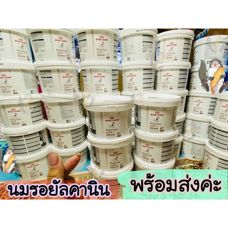 🍼 ถูกที่สุด❗️ นมรอยัลคานินสูตรลูกสุนัขRoyalcanin babydog milkนมชูการ์ นมกระรอก✅แถมช้อนตวงไซริ้ง หมดอายุ15/06/2027