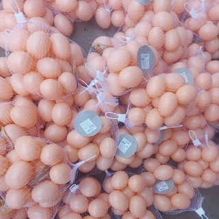 ✅️ (ถูกที่สุด พร้อมส่ง) ไข่ไก่ปลอม ไข่ไก่พลาสติก ไข่ปลอม ใส่ถุงตาข่าย 10-12 ฟอง/ถุง ขนาด 4×5 ซม.