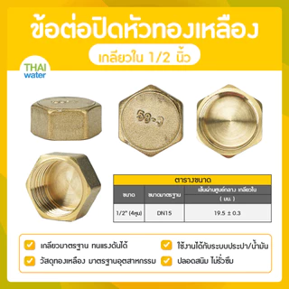 ข้อต่อปิดหัวทองเหลือง ฝาปิดหัวทองเหลือง เกลียวใน 1/8 - 1 นิ้ว