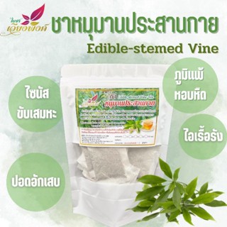 🫁🫁สมุนไพรชาบำรุงปอด หนุมานประสานกาย สู้ภัยโควิด☣️☣️ (Long Covid (Edible-stemed Vine) ชาและแคปซูล แก้ภูมิแพ้ บรรเทาหอบหืด