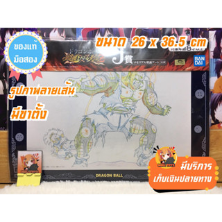 รูปภาพลายเส้น ดราก้อน Dragon Ball ของแท้แมวทอง