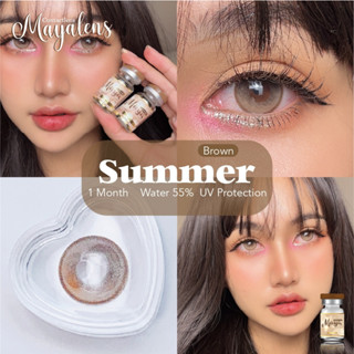 คอนแทคเลนส์ Maya Summer(Gray,Brown) ค่าสายตาปกติ/สายตาสั้น